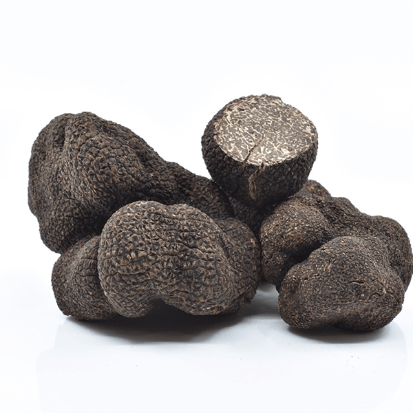 Fresh truffles