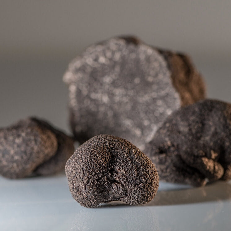 Close-up of dark truffles on a light surface with a neutral background