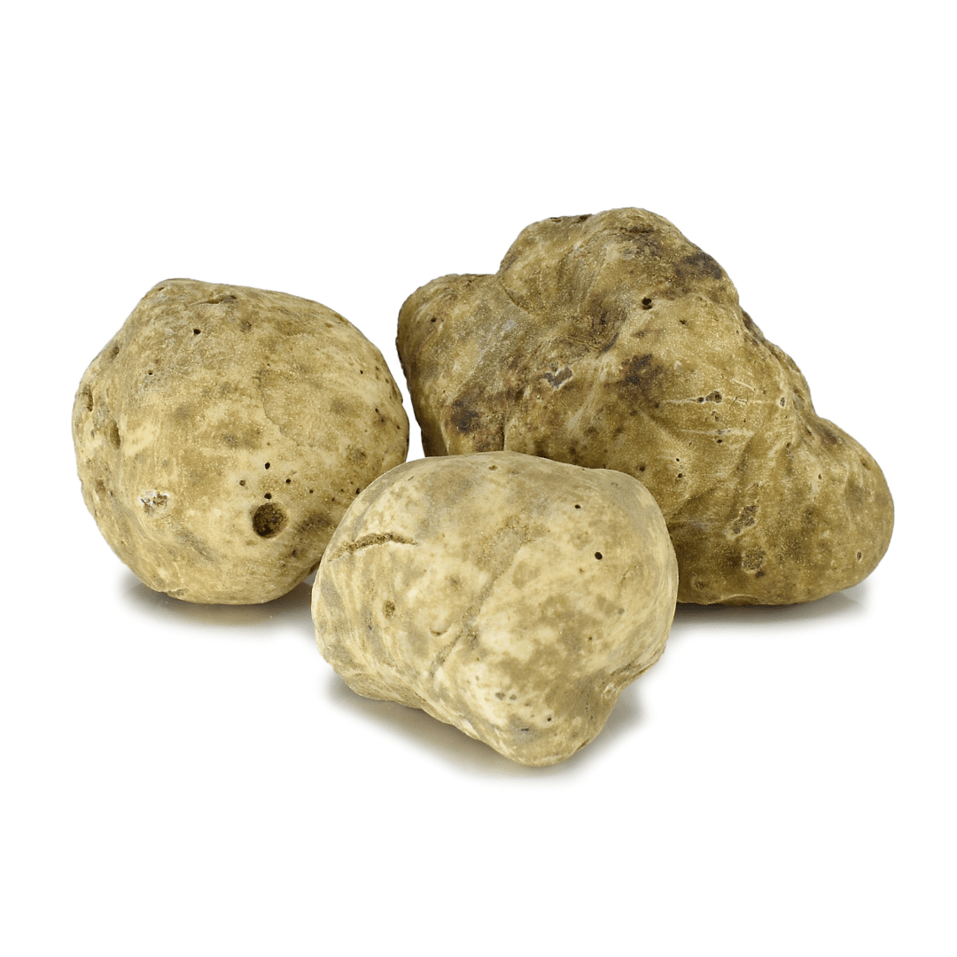 Fresh White Truffle-Tuber Magnatum Pico Fresh truffle Zigante tartufi d.o.o.