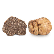 Fresh Bianchetto truffle-Tuber Borchii Fresh truffle Zigante Tartufi Online Shop