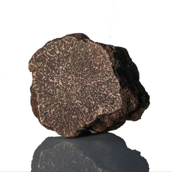 Fresh Black Truffle- Tuber Melanosporum Fresh truffle Zigante tartufi d.o.o.
