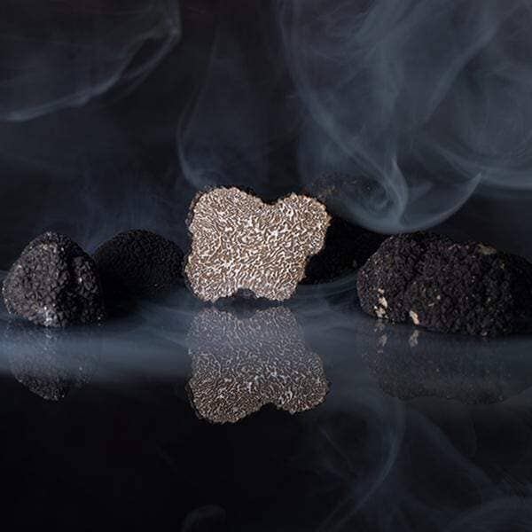 Fresh Black Truffle-Tuber Uncinatum Zigante tartufi d.o.o.