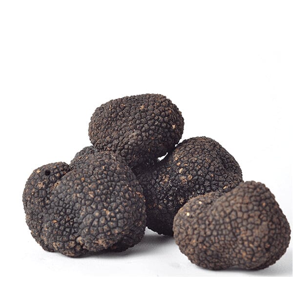 豪LP Manuel Pess?a de Lima Realejo BT056 Black Truffle /00260 Realejo | Manuel Pessôa de Lima | Black Truffle