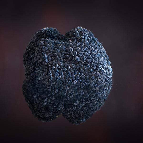 Fresh Black Truffle-Tuber Uncinatum Zigante tartufi d.o.o.