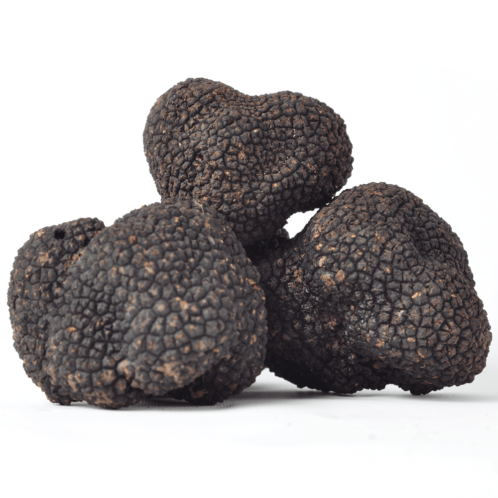 Fresh Summer Truffle-Tuber Aestivum Fresh truffle Zigante Tartufi Online Shop