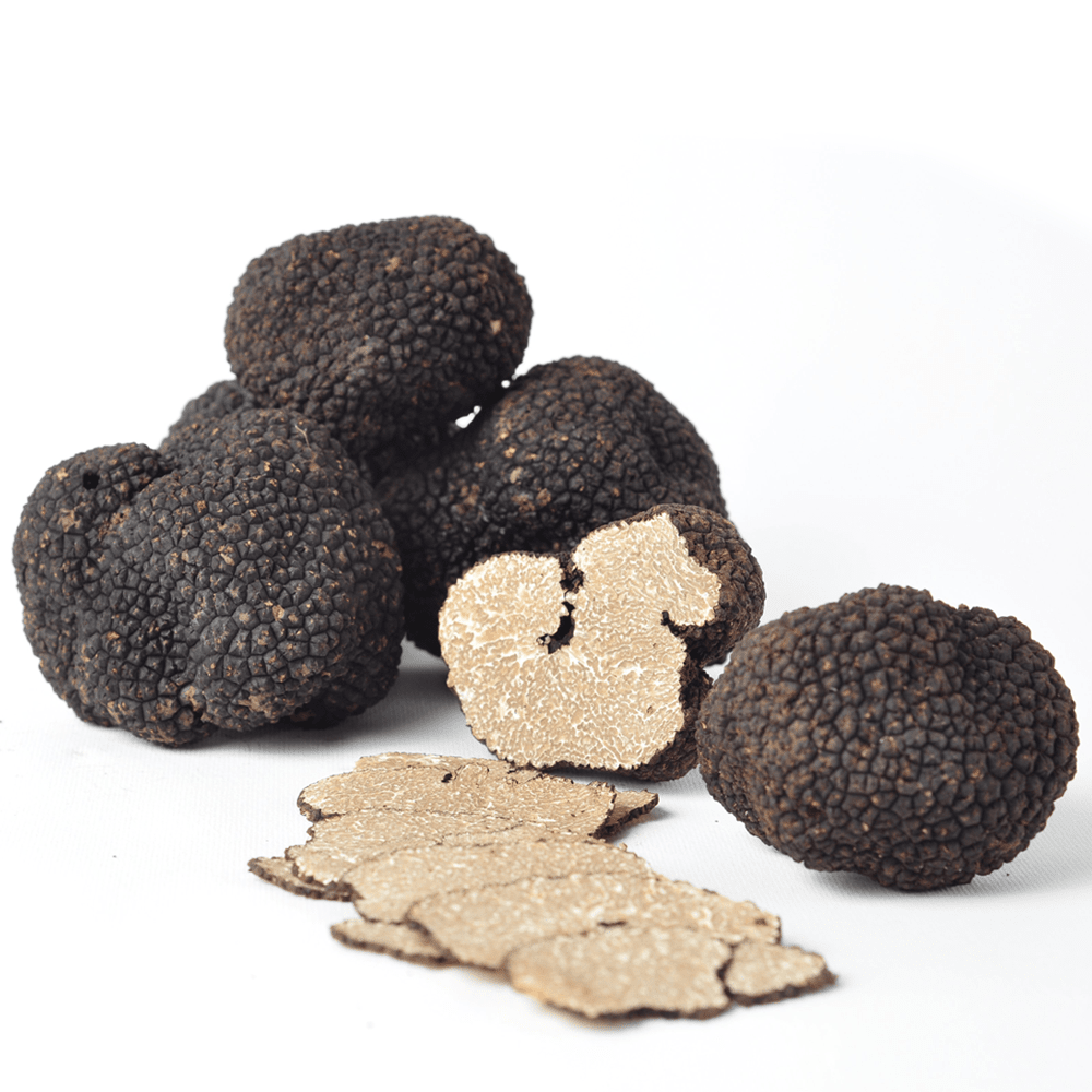 frische trüffel aufbewahren Frische Sommer-Trüffel (Tuber aestivum) – Zigante Tartufi