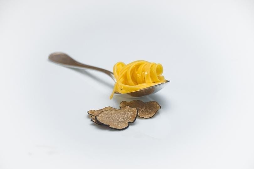 Linguine with Truffles New arrivals Zigante tartufi d.o.o.