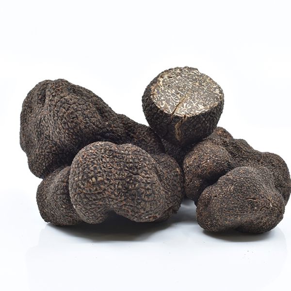 Fresh truffles