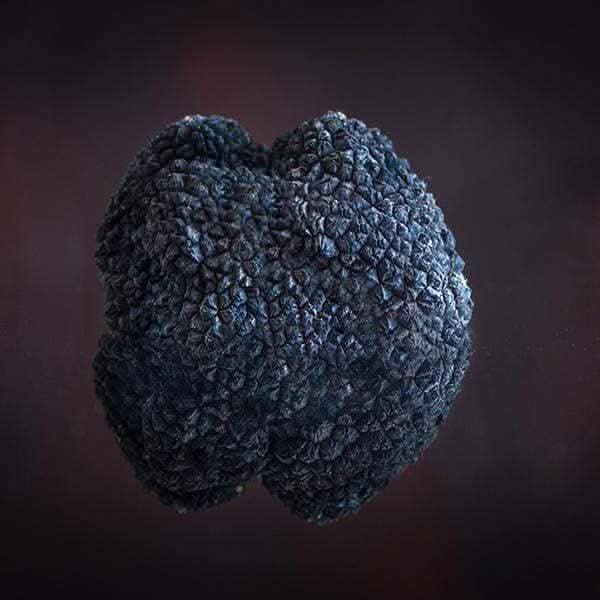 Fresh Black Truffle-Tuber Uncinatum Zigante tartufi d.o.o.
