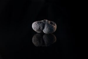 Zigante truffles