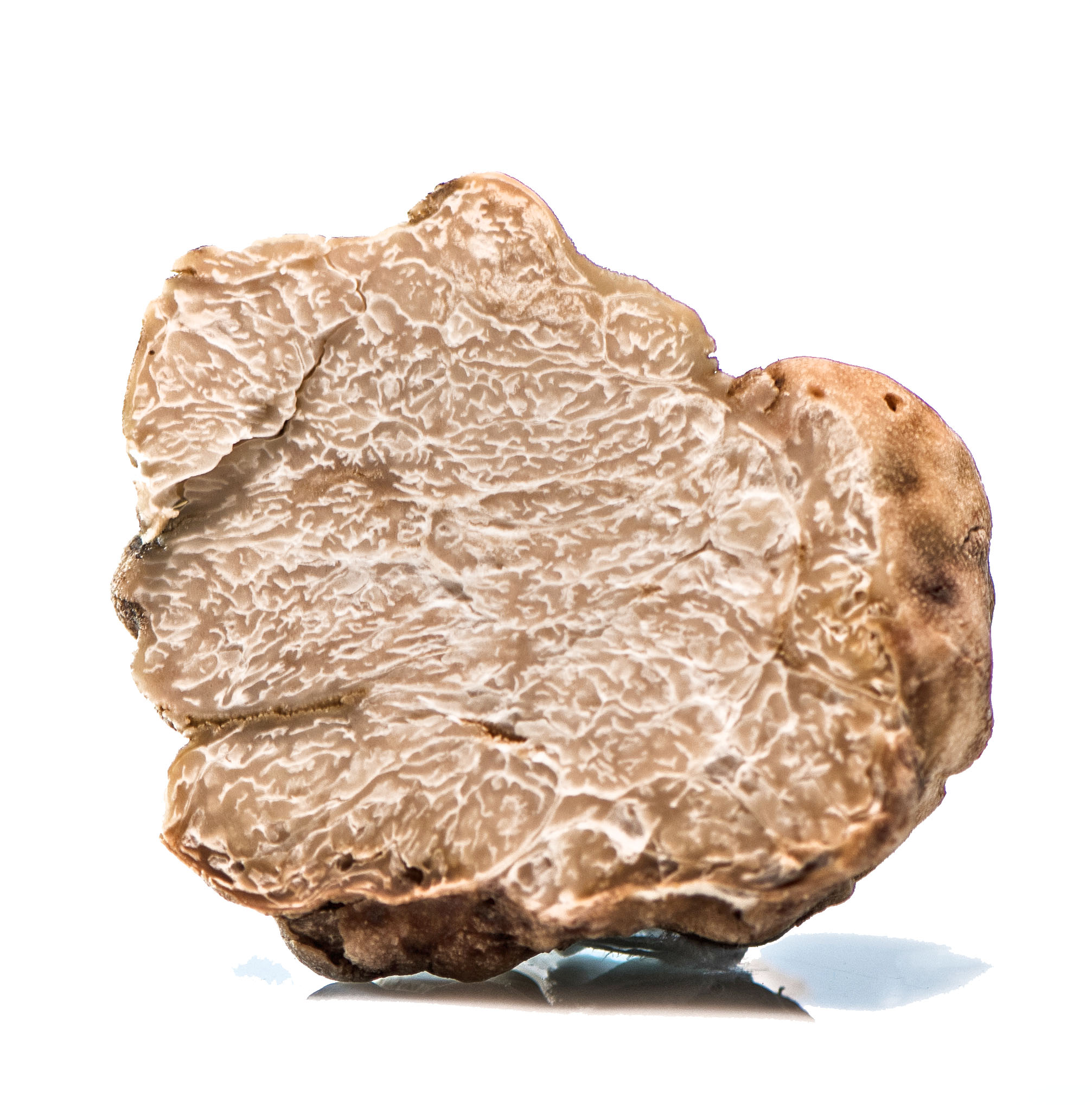 Zigante - white truffle